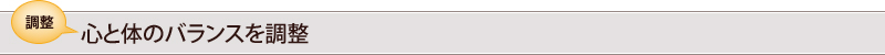 調整∥心と体のバランスを調整